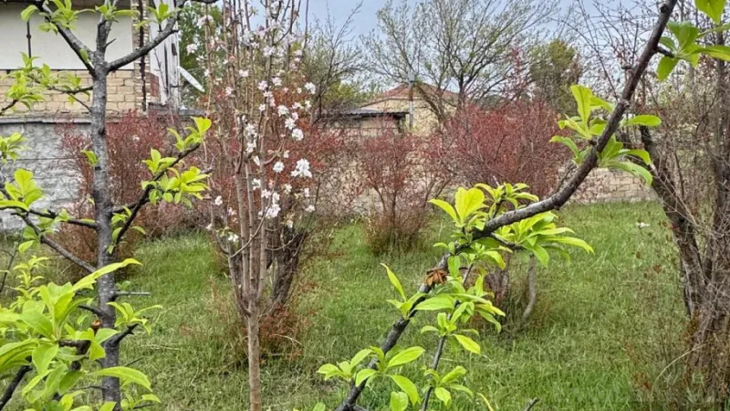 Satılır Torpaq 2 sot Novxanı - şəkil 20