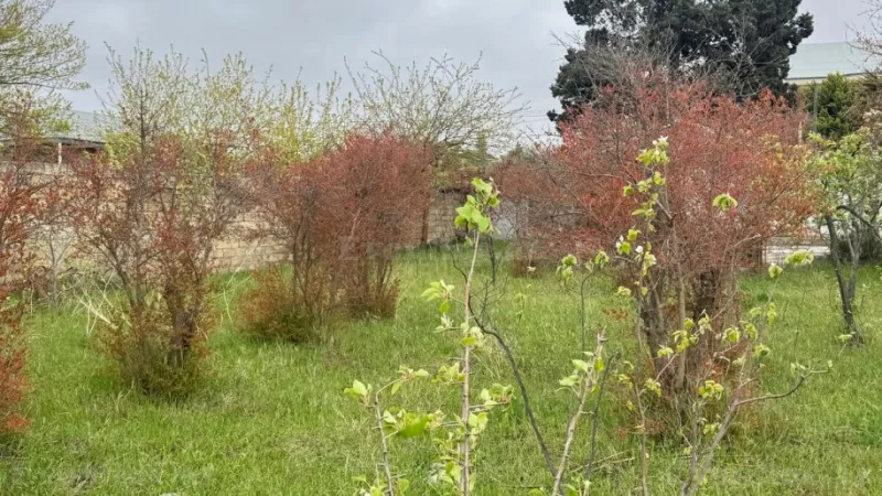 Satılır Torpaq 2 sot Novxanı - şəkil 22