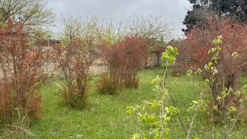 Satılır Torpaq 2 sot Novxanı - şəkil 23