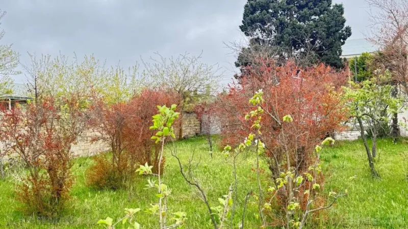 Satılır Torpaq 2 sot Novxanı - şəkil 25