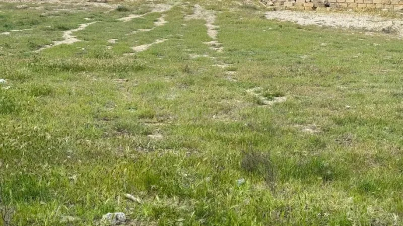 Satılır Torpaq 6 sot Novxanı - şəkil 14