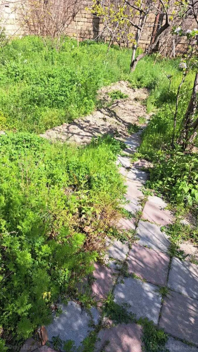 Satılır Torpaq 3.5 sot Badamdar - şəkil 2