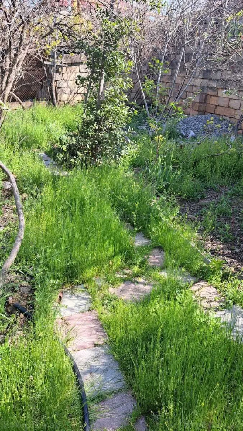 Satılır Torpaq 3.5 sot Badamdar - şəkil 3