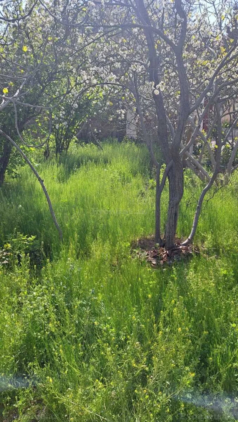 Satılır Torpaq 3.5 sot Badamdar - şəkil 5