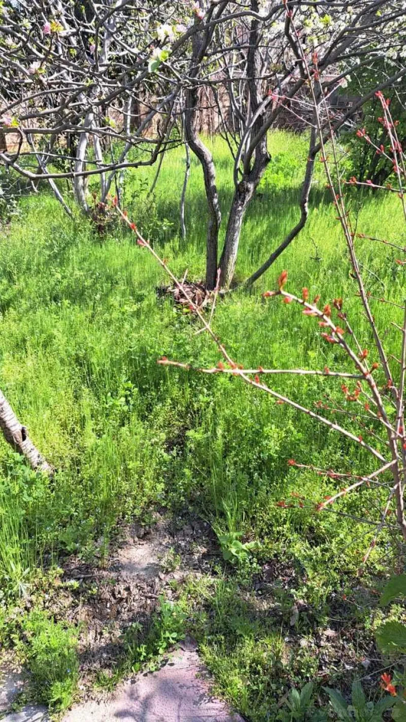 Satılır Torpaq 3.5 sot Badamdar - şəkil 6