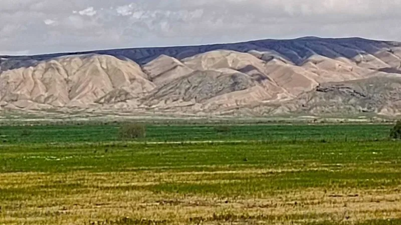 Satılır Torpaq 25000 sot Hacıqabul - şəkil 2