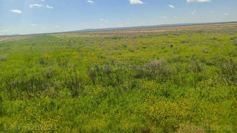 Satılır Torpaq 25000 sot Hacıqabul - şəkil 4