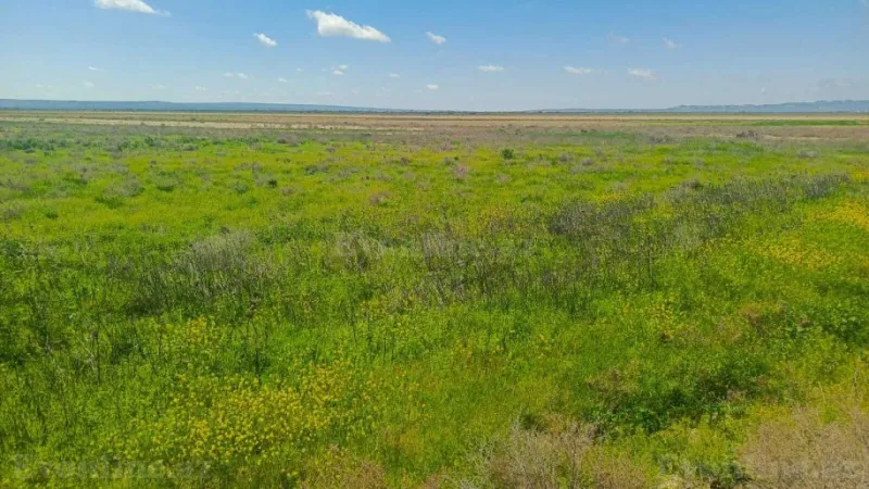 Satılır Torpaq 25000 sot Hacıqabul - şəkil 5