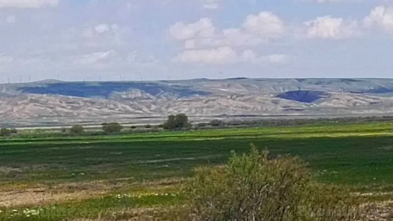 Satılır Torpaq 25000 sot Hacıqabul - şəkil 6