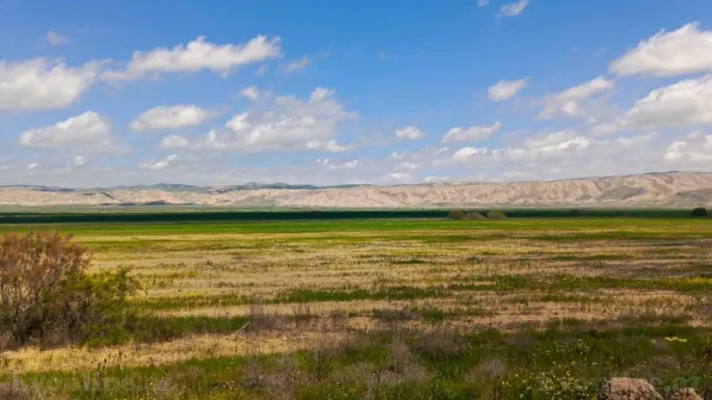 Satılır Torpaq 25000 sot Hacıqabul - şəkil 7