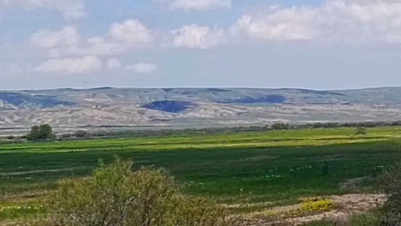 Satılır Torpaq 25000 sot Hacıqabul - şəkil 8