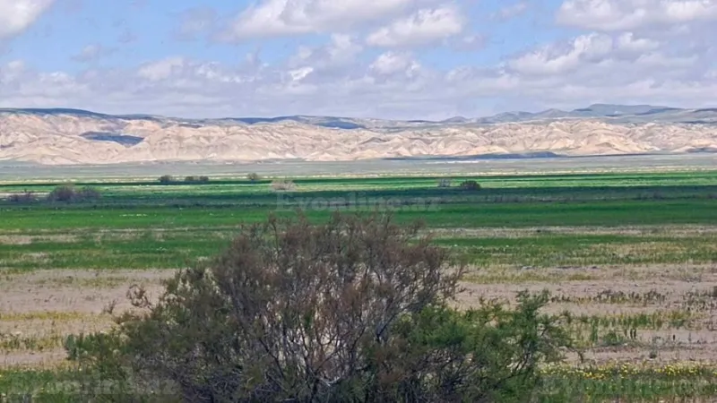 Satılır Torpaq 25000 sot Hacıqabul - şəkil 10