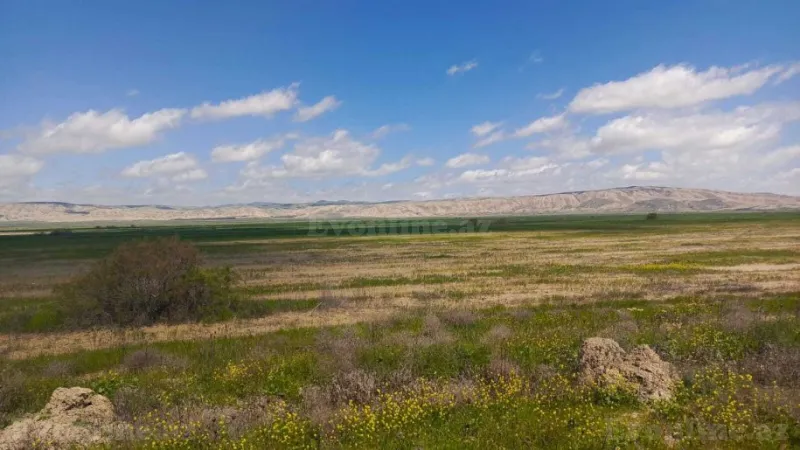 Satılır Torpaq 25000 sot Hacıqabul - şəkil 11