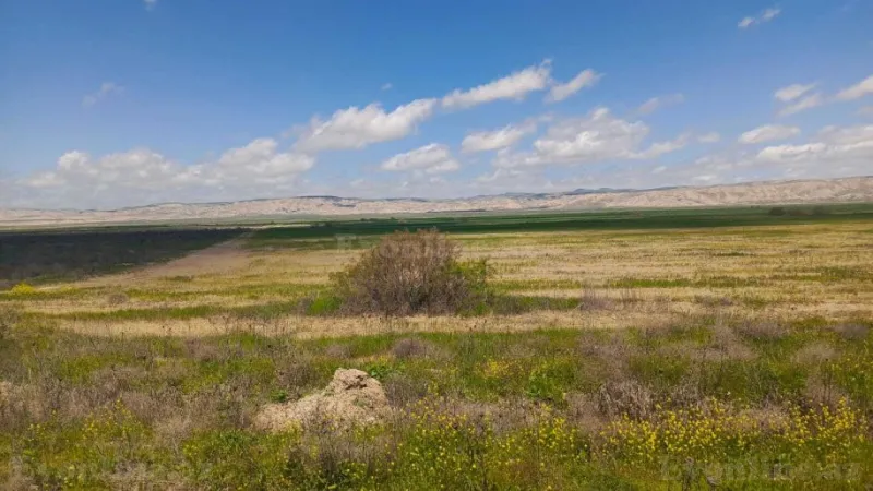 Satılır Torpaq 25000 sot Hacıqabul - şəkil 13