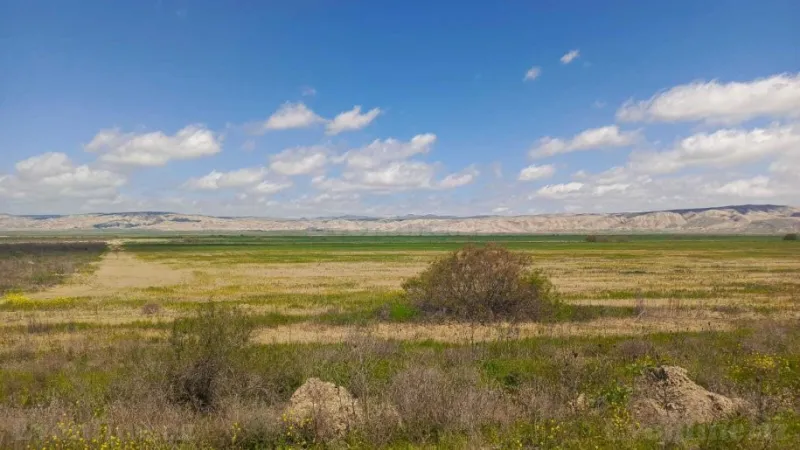 Satılır Torpaq 25000 sot Hacıqabul - şəkil 14