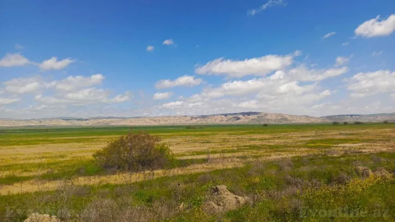 Satılır Torpaq 25000 sot Hacıqabul - şəkil 15