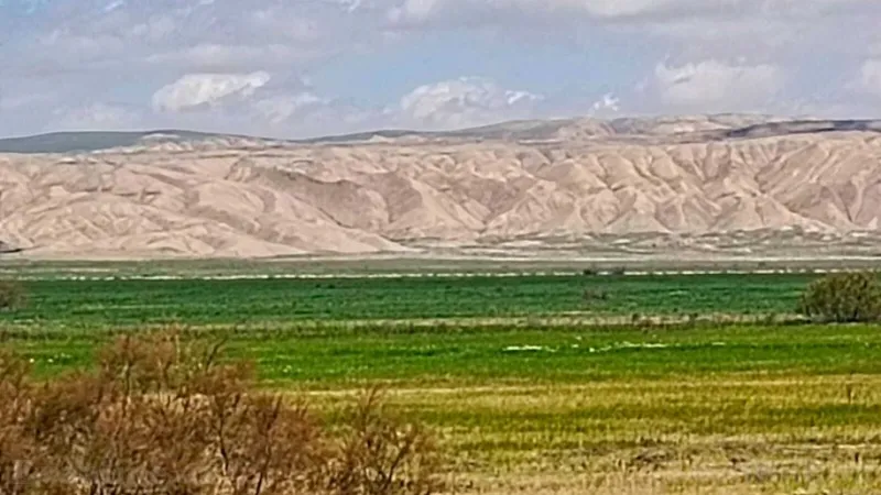 Satılır Torpaq 25000 sot Hacıqabul - şəkil 16