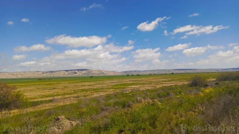 Satılır Torpaq 25000 sot Hacıqabul - şəkil 17