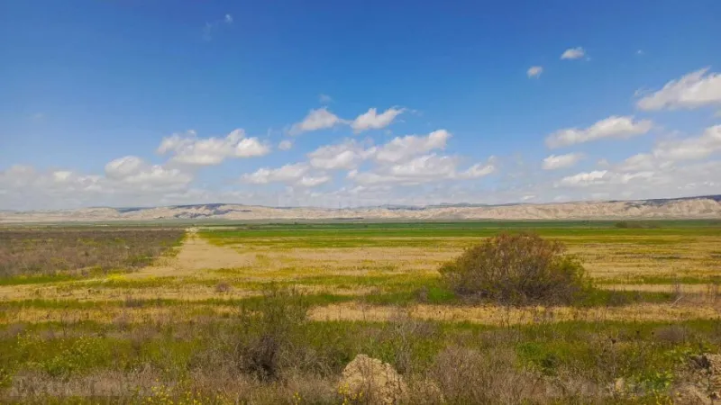 Satılır Torpaq 25000 sot Hacıqabul - şəkil 18