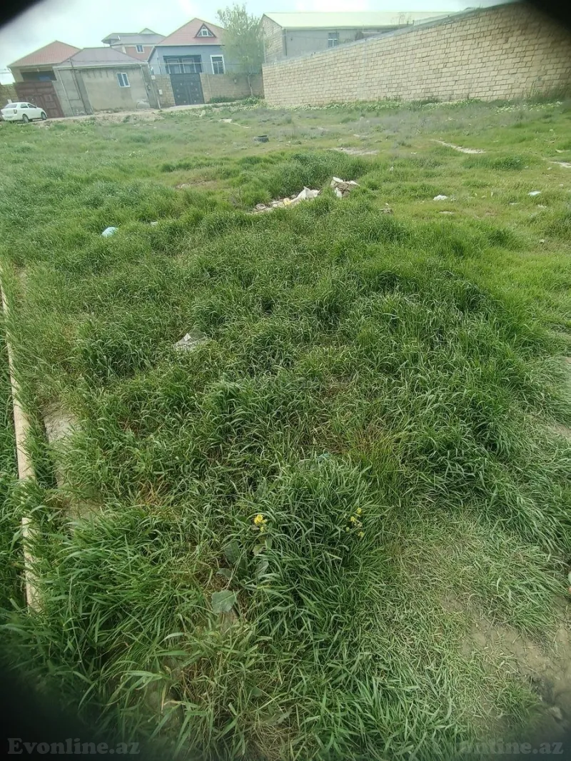 Satılır Torpaq 10 sot Qobu - şəkil 3