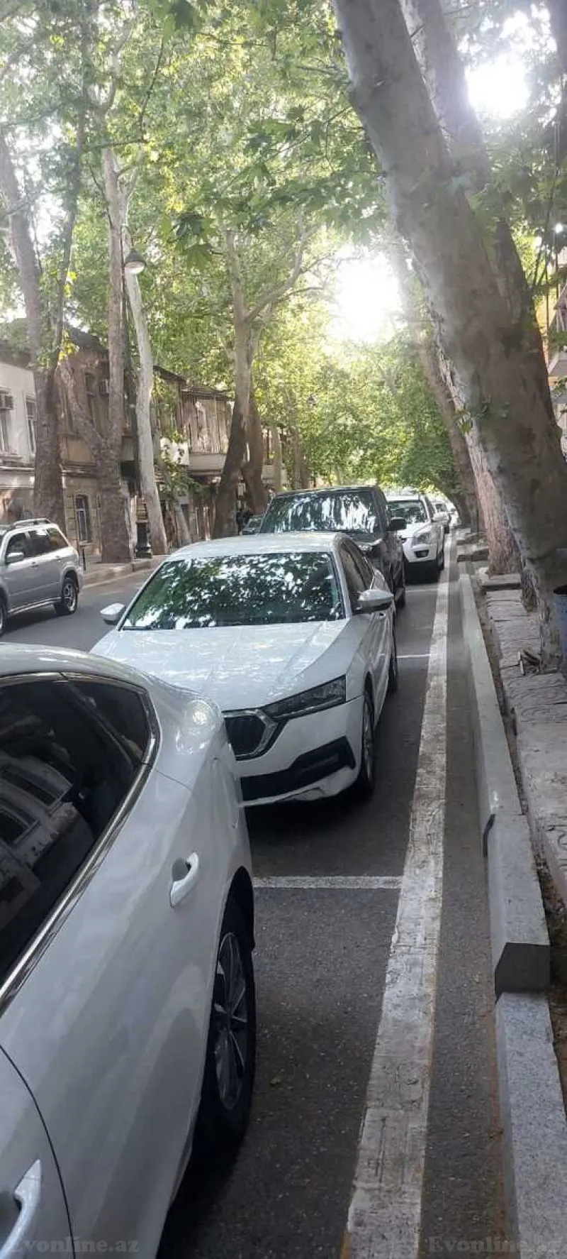 Kirayə verilir Obyekt 60 m² 28 May m. - şəkil 14