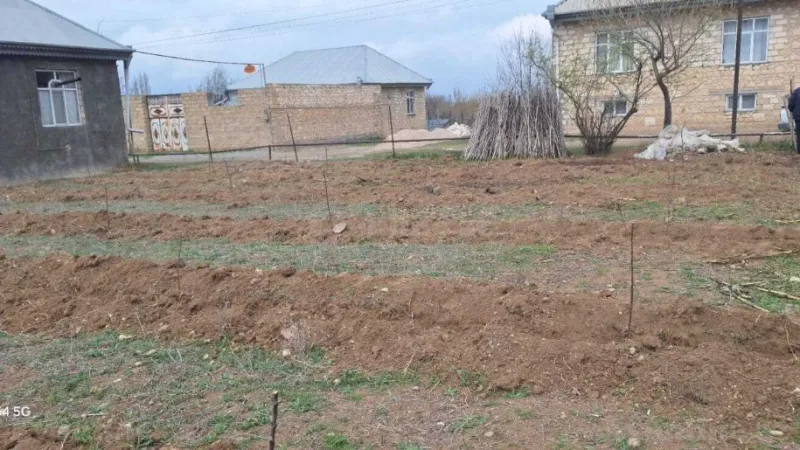 Satılır Torpaq 20 sot Şəmkir - şəkil 3