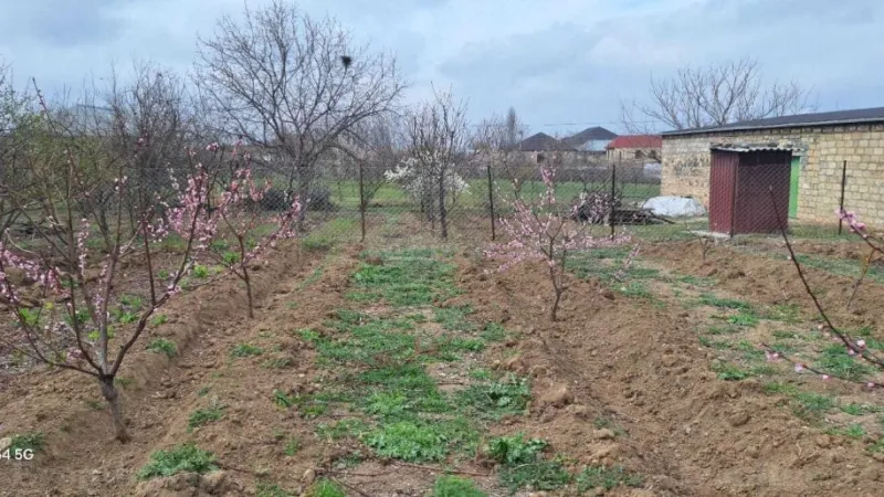 Satılır Torpaq 20 sot Şəmkir - şəkil 4