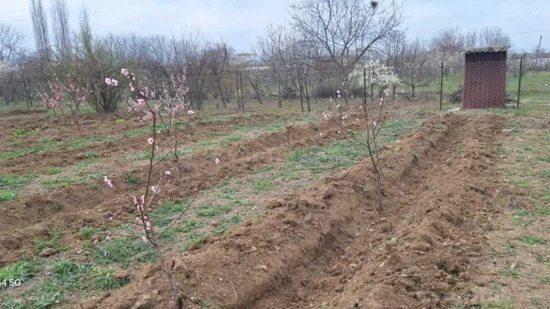 Satılır Torpaq 20 sot Şəmkir - şəkil 5