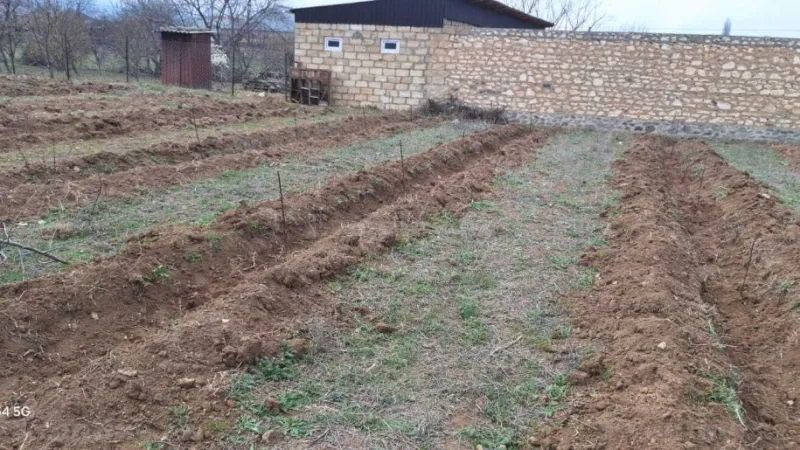 Satılır Torpaq 20 sot Şəmkir - şəkil 7