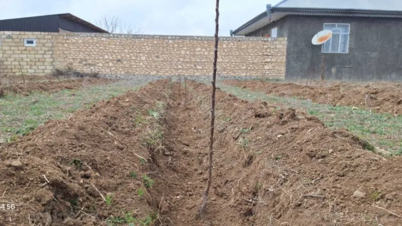 Satılır Torpaq 20 sot Şəmkir - şəkil 8