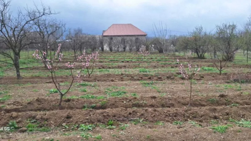 Satılır Torpaq 20 sot Şəmkir - şəkil 9