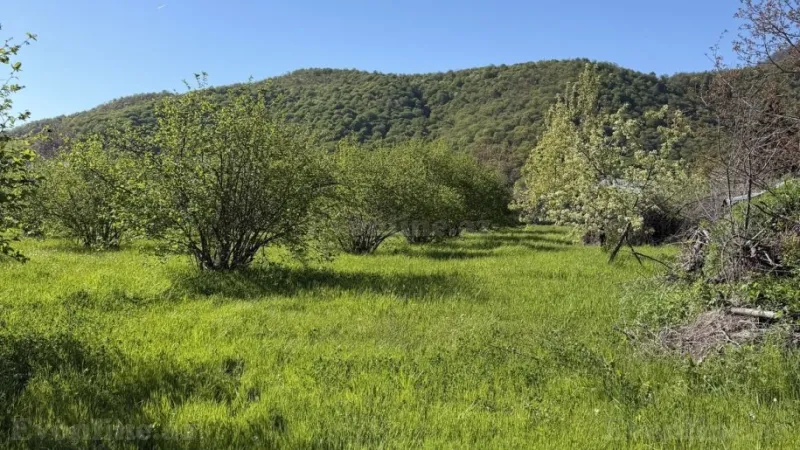 Torpaq Qəbələ Satılır