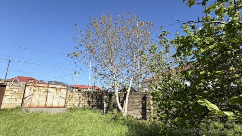 Satılır Torpaq 70 sot Qəbələ - şəkil 5