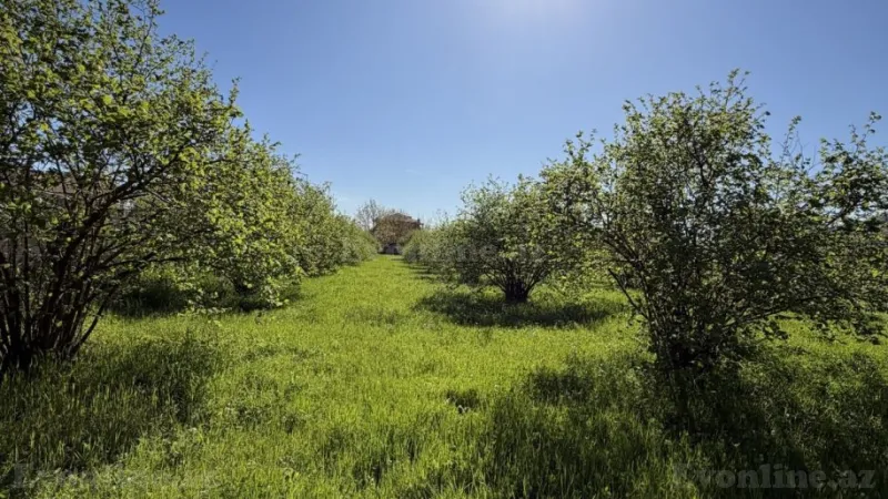 Satılır Torpaq 70 sot Qəbələ - şəkil 6