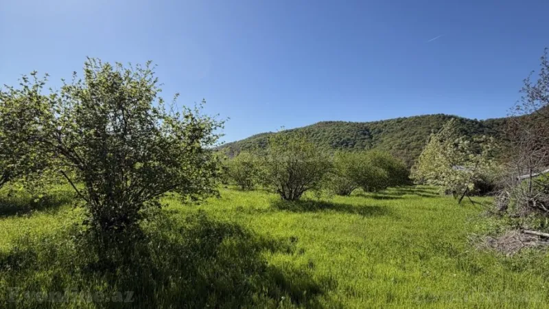 Satılır Torpaq 70 sot Qəbələ - şəkil 7