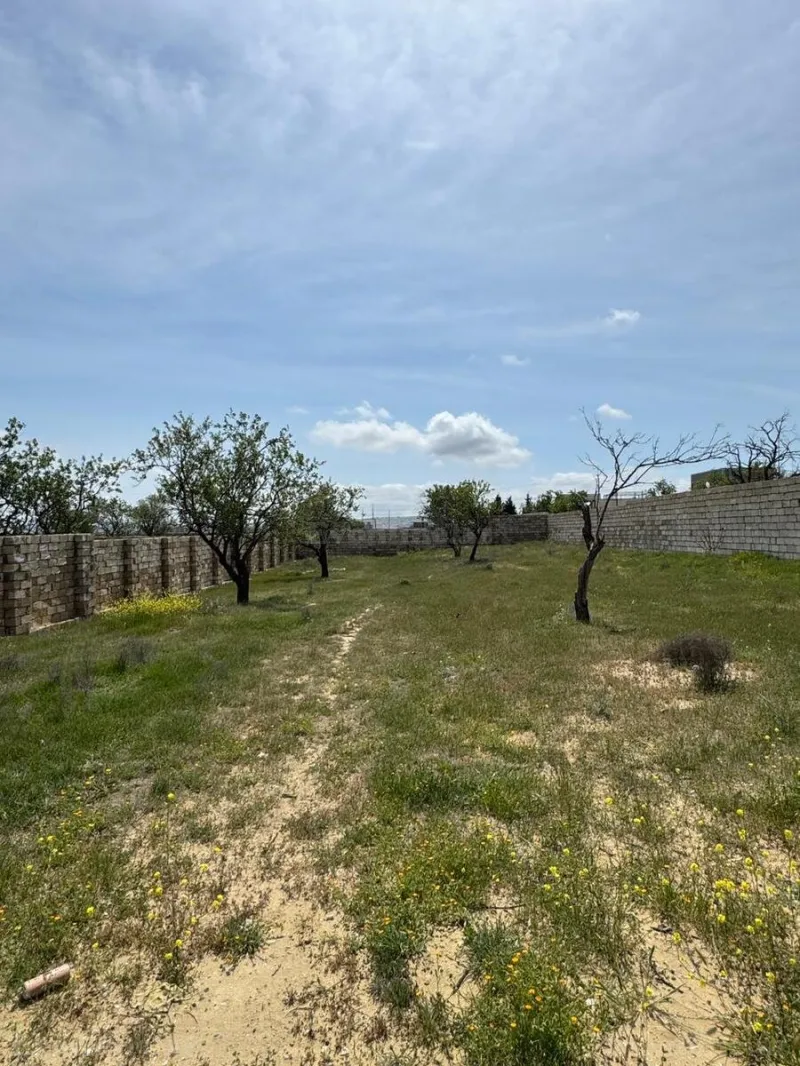 Torpaq Masazır Satılır