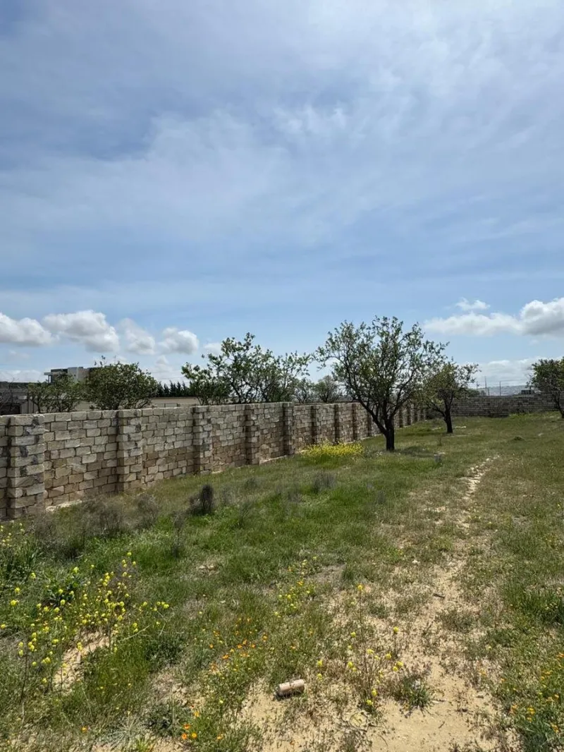 Satılır Torpaq 10 sot Masazır - şəkil 2