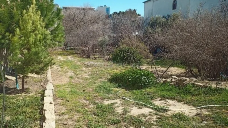 Satılır Torpaq 11.5 sot Badamdar - şəkil 3