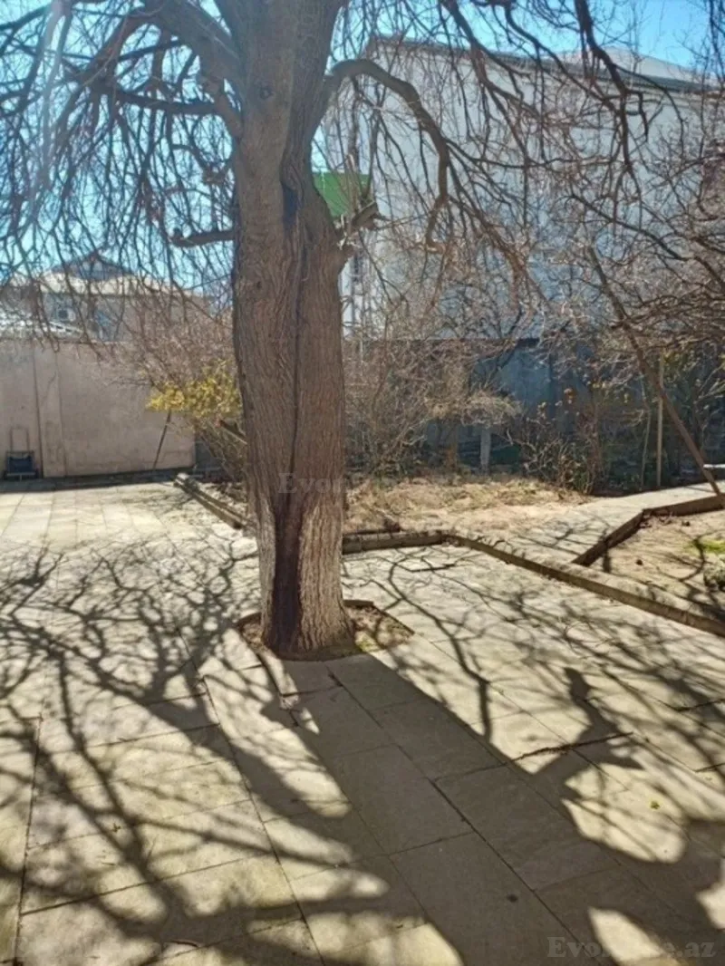 Satılır Torpaq 11.5 sot Badamdar - şəkil 4