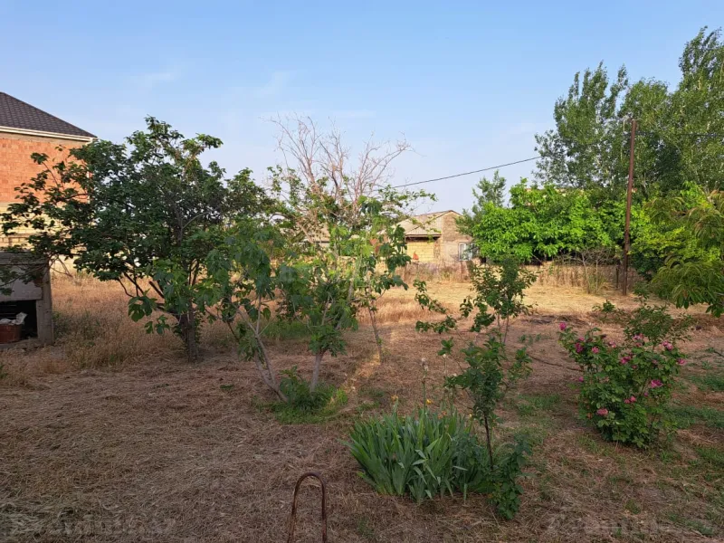 Torpaq Ceyranbatan Satılır