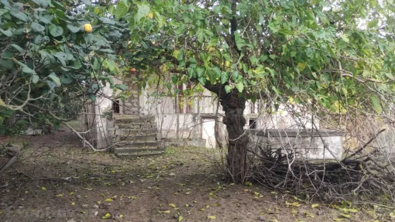 Satılır Torpaq 12 sot Bilgəh - şəkil 2