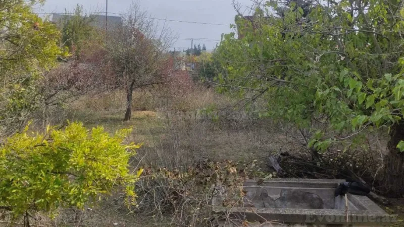 Satılır Torpaq 12 sot Bilgəh - şəkil 3