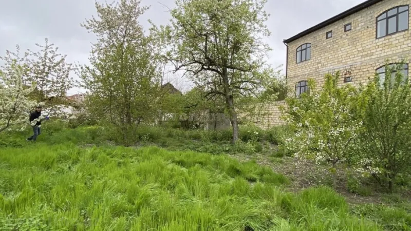 Satılır Torpaq 12 sot Quba