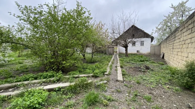 Satılır Torpaq 12 sot Quba - şəkil 2