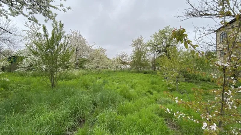 Satılır Torpaq 12 sot Quba - şəkil 3