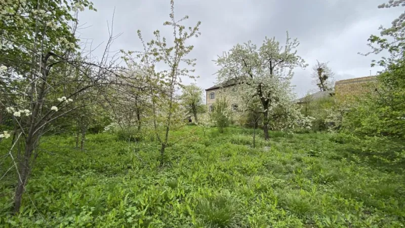 Satılır Torpaq 12 sot Quba - şəkil 4