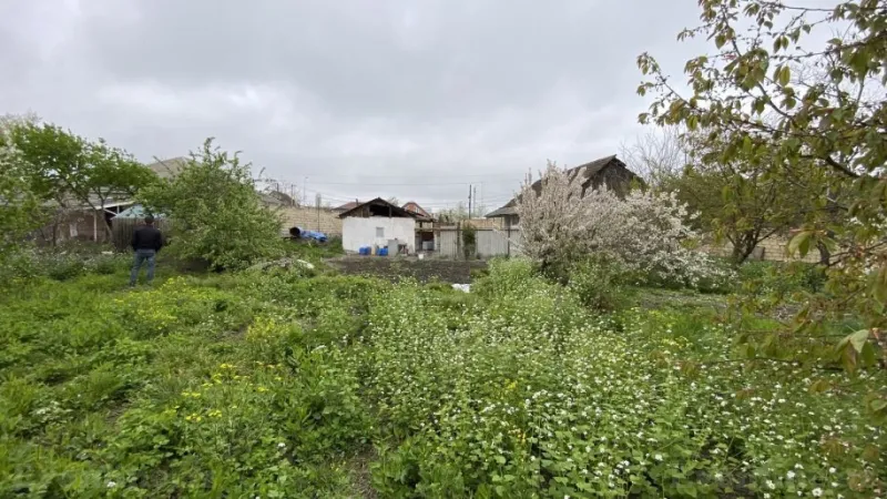 Satılır Torpaq 12 sot Quba - şəkil 7