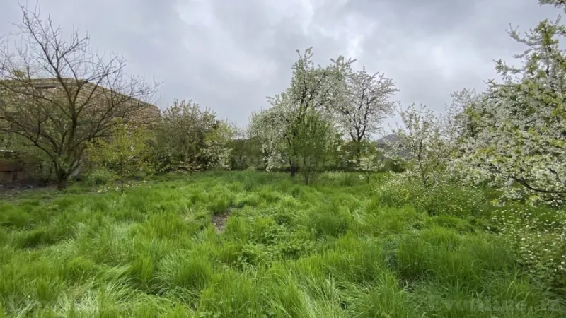 Satılır Torpaq 12 sot Quba - şəkil 8