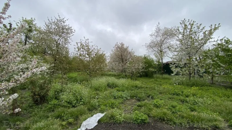 Satılır Torpaq 12 sot Quba - şəkil 9