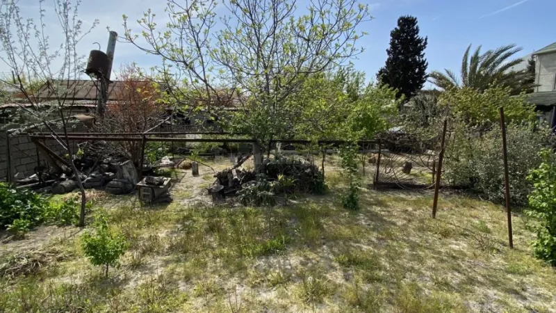 Satılır Torpaq 6 sot Saray - şəkil 3